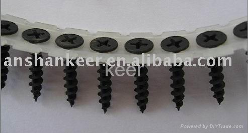 collated screw 4