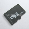 microSD / T-Flash 1GB card