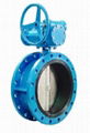 Cast Steel Flanged Butterfly Valves