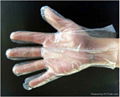 Disposable PE Gloves PE Gloves PolyEthylene Gloves  3