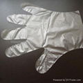 PE Gloves PolyEthylene Gloves Disposable PE Gloves  4