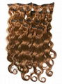 Clip hair extensions/deep curly