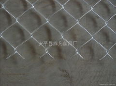 Chain Link Fence