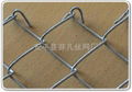 Chain Link Fence 3