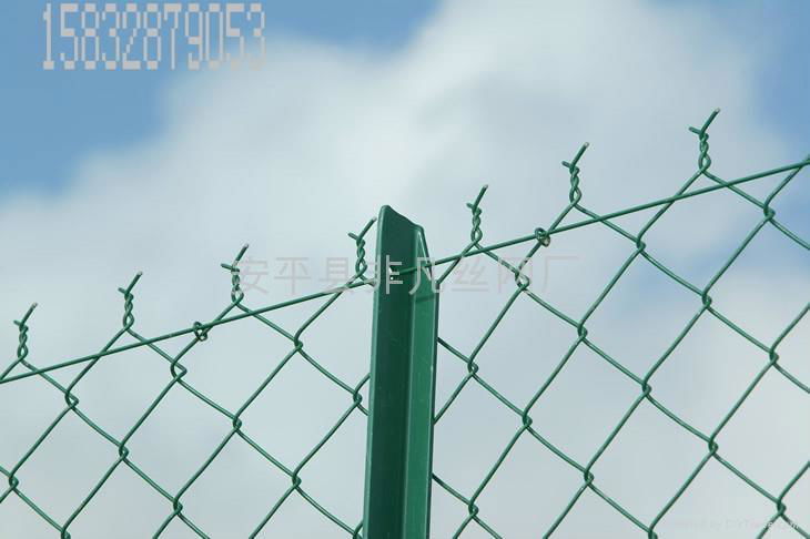 Chain Link Fence 5