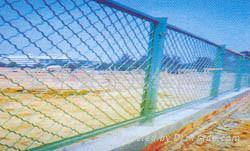 Wire Mesh Fence