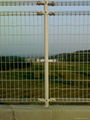 Wire Mesh Fence 1