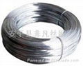 Galvanized Iron Wire 1