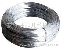 Galvanized Iron Wire