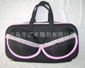 Bra Bag