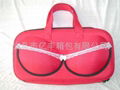 Bra Bag 2