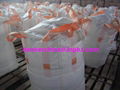 detergent powder 4