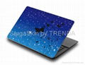 Laptop Skin - SargaSkin 2