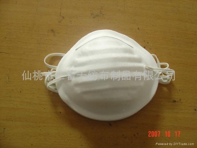 Dust/Cone Disposable Face Mask with Earloop 2