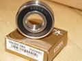 Deep Groove Bearings 5