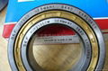 Cylindrical Roller Bearings 1