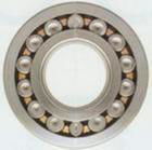 INA Bearing 2