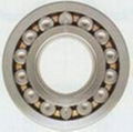 INA Bearing 2