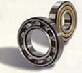 INA Bearing 3