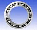 INA Bearing 5