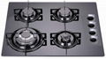 Gas cooker/gas hob/stove