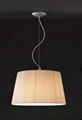 Pendant Lamp