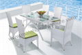 Garden Furniture(T-198/C-198) 1