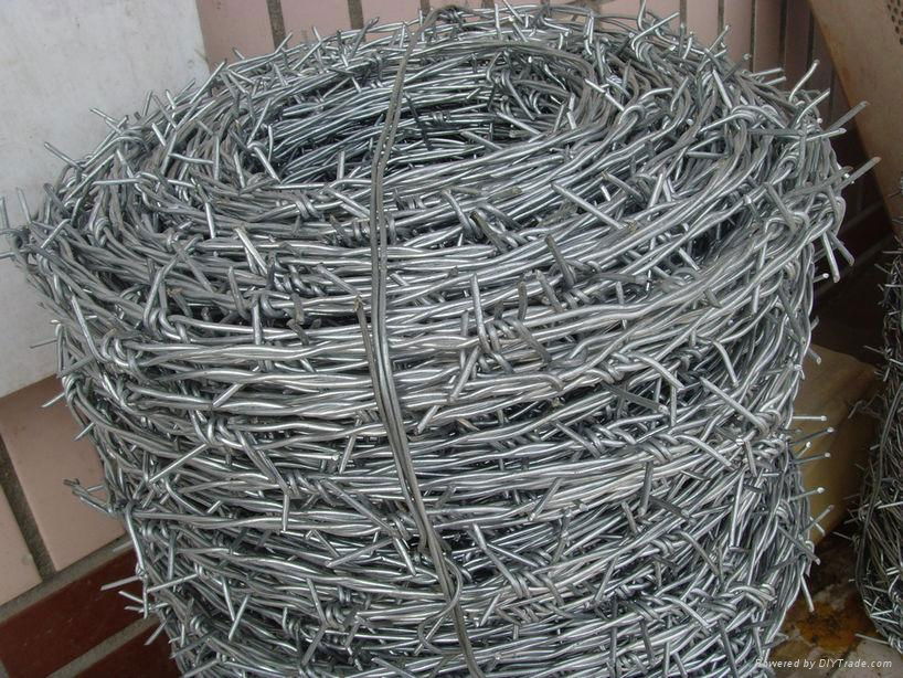 Barbed Wire