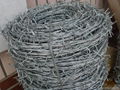 Barbed Wire 1