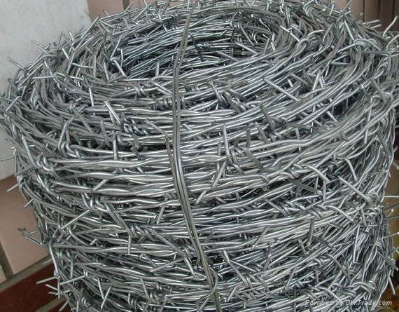 Dog Wire