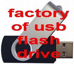 custom promotional usb flash drives