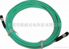 MPO Fiber patch cords
