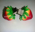 Fruit USB DISK 1