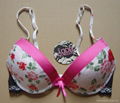 Ladies fashion bra 2