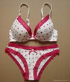 Ladies fashion underwear set 1