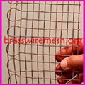 Brass Wire Mesh 2