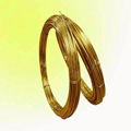 Brass Wire 1