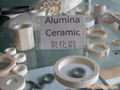 Al2O3 seal rings