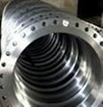 Forged Plate Flange 1