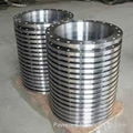 Standard JIS 5k 10k Flange 