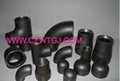 Carbon Steel Pipe Fitting ANSI B16.9  4