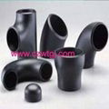 Steel Pipe Fittings  3