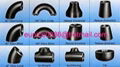 Steel Pipe Fittings  4