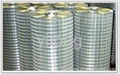 Welded wire mesh