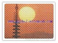 insect screen netting