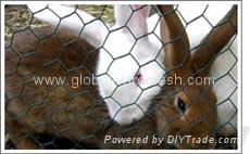 hexagonal wire netting 5