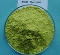 Extract Quercetin 1