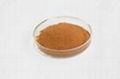 Rhodiola Rosea Extract