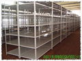 shelf /storage rack/ pallet racking/ storage system 5