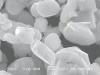 Electrode Materials For Lithium ion